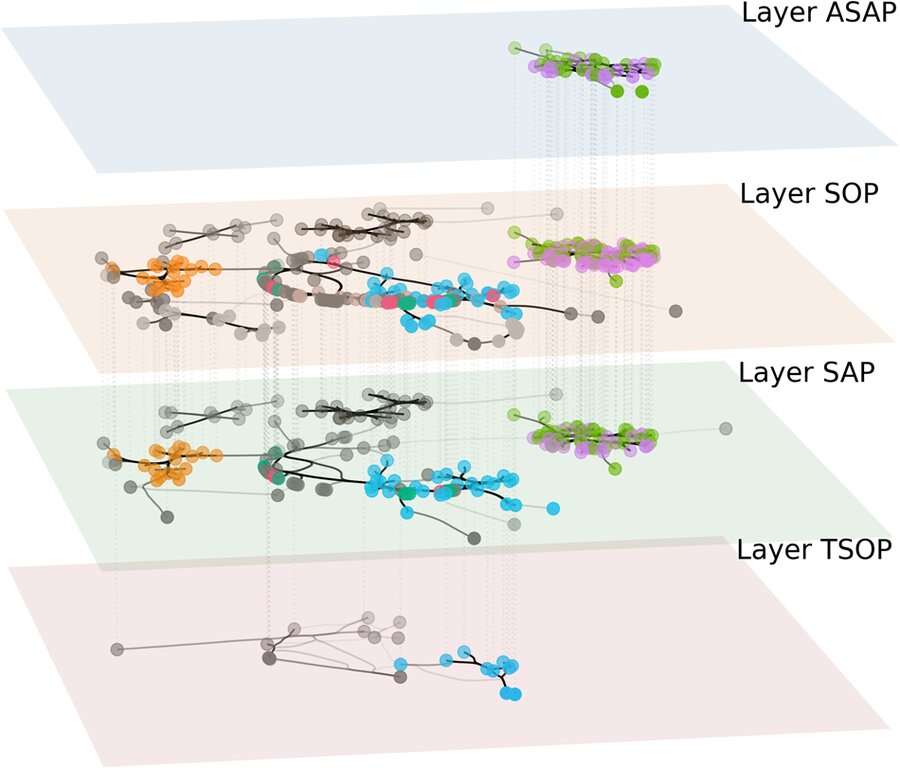 Four stacked network layers labeled ASAP, SOP, SAP and TSOP, with dotted lines linking the same nodes across layers.